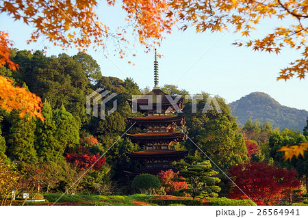 秋の紅葉と瑠璃光寺五重塔の写真素材