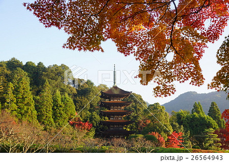 秋の紅葉と瑠璃光寺五重塔の写真素材