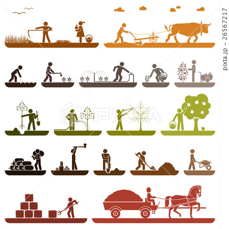 Agricultural work and life on farm 26567217