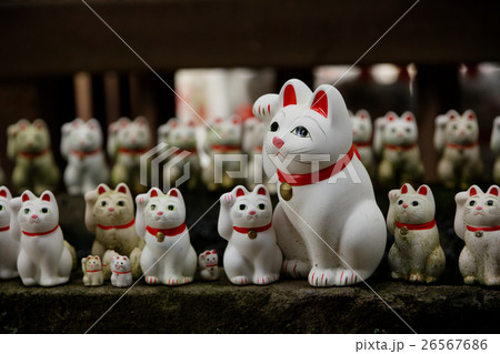 豪徳寺の招き猫 豪徳寺の招き猫 26567686