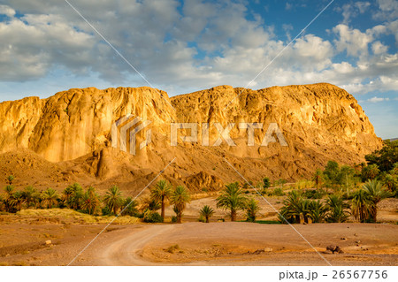 Landscape of Fint oasis near the city Ouarzazate Landscape of Fint oasis near the city Ouarzazate 26567756
