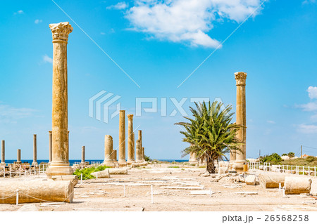 アル・ミナー遺跡(レバノン、ティール) 26568258