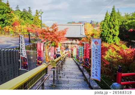 大聖院参道 26568319