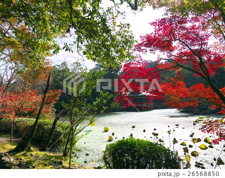 宇佐神宮 26568850