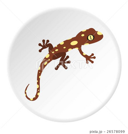 Spotted chameleon icon, flat style 26578099