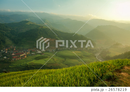 Rice Sunrise vietnam Rice Sunrise vietnam 26578219
