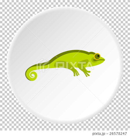 Green chameleon icon, flat style Green chameleon icon, flat style 26578247