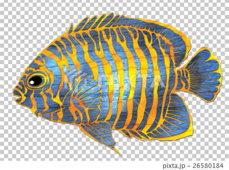 魚圖 魚圖 26580184