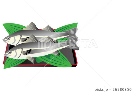 スズキ スズキ 26580350