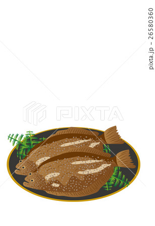 ヒラメ ヒラメ 26580360