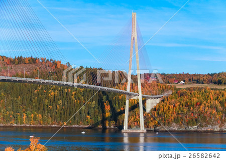Modern cable-stayed bridge in Norway 26582642