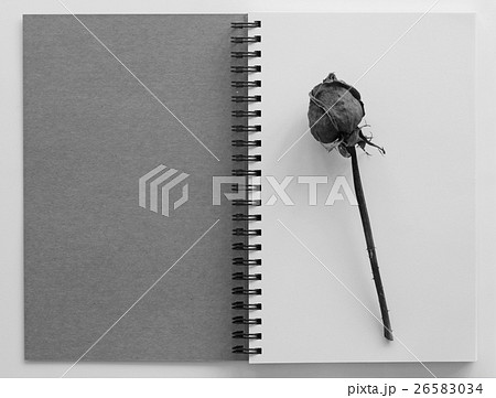 Dried rose on an open  book 26583034