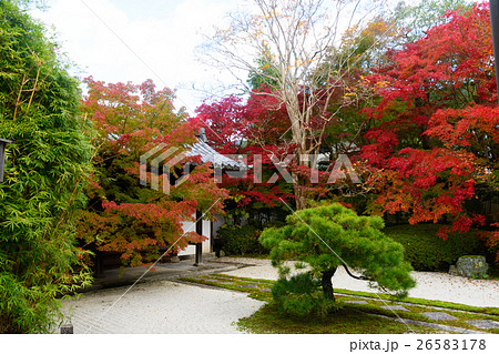 南禅寺天授庵の紅葉 南禅寺天授庵の紅葉 26583178
