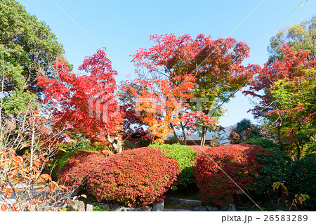 勸修寺の紅葉 勸修寺の紅葉 26583289