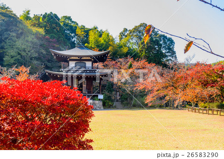 勸修寺の紅葉 勸修寺の紅葉 26583290