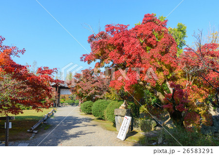 勸修寺の紅葉 勸修寺の紅葉 26583291