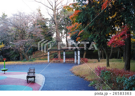 児童公園のちょっとした紅葉 児童公園のちょっとした紅葉 26583363