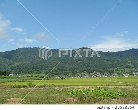 飯山市の田んぼと黒岩山の風景 26583554
