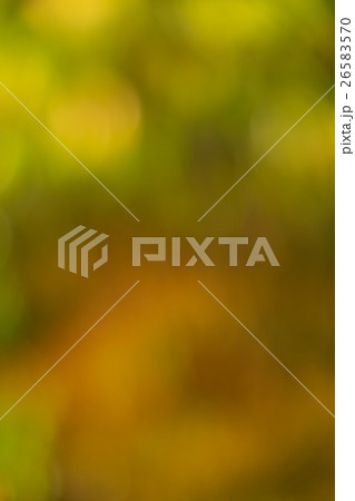 秋の森の中の紅葉のボケ素材 秋の森の中の紅葉のボケ素材 26583570