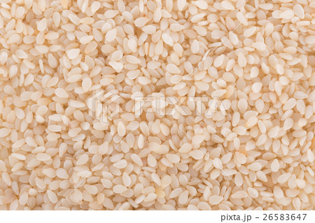white sesame seeds background white sesame seeds background 26583647