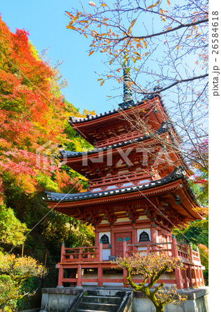 三室戸寺の紅葉 三室戸寺の紅葉 26584618