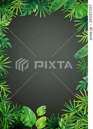 Green leaf border background 26585207