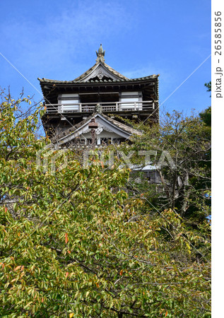 福井 丸岡城(2016.10) 福井 丸岡城(2016.10) 26585856