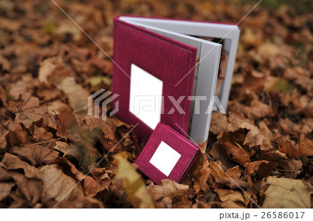beautiful photo album on autumn leaves 26586017
