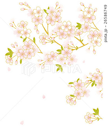 桜 イラストのイラスト素材