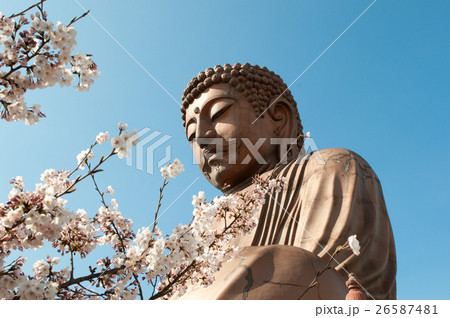 聚楽園大仏 26587481