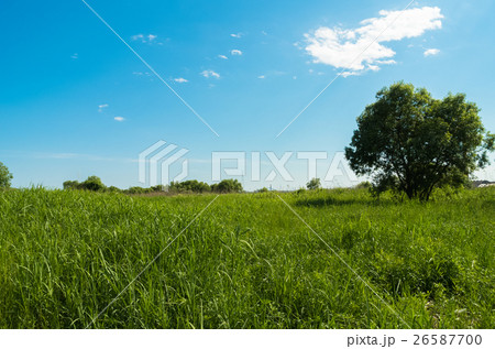 加古川河川敷 加古川河川敷 26587700