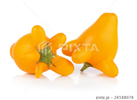 nipplefruit on white background nipplefruit on white background 26588078