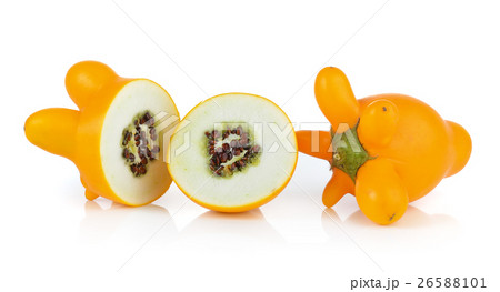 nipplefruit on white background nipplefruit on white background 26588101