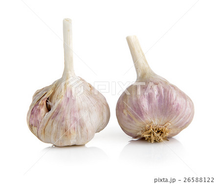 garlic on white background 26588122