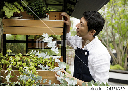 花屋 園芸店 園芸 ガーデニング 男性 店員 撮影協力 Tenoha Daikanyamaの写真素材