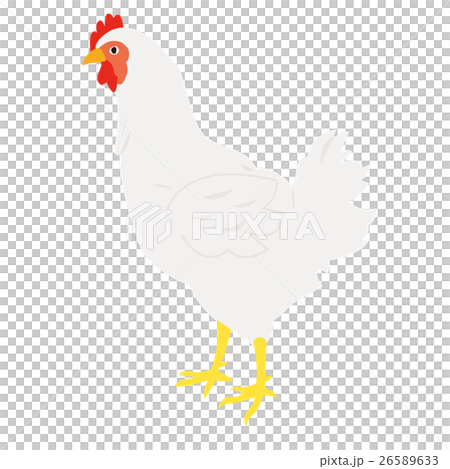 鶏 26589633