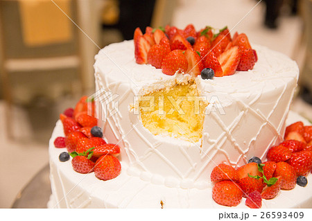 ファーストバイトのケーキ ファーストバイトのケーキ 26593409