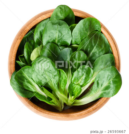 Corn salad in wooden bowl over white Corn salad in wooden bowl over white 26593667