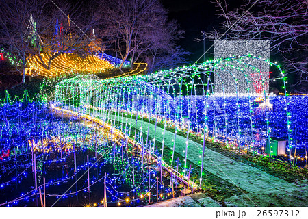 いちはらクオードの森 （市原市民の森） イルミネーション 2016年冬季 26597312