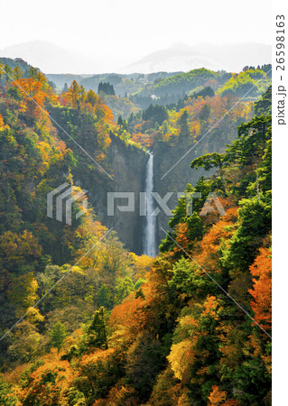 震動の滝 九重夢大吊橋 紅葉 震動の滝 九重夢大吊橋 紅葉 26598163