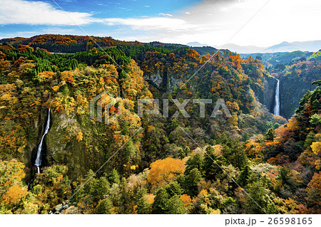 震動の滝　九重夢大吊橋　紅葉 26598165