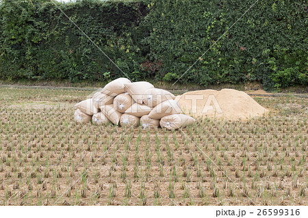farming farming 26599316