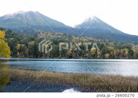 秋の雌阿寒岳と阿寒富士 秋の雌阿寒岳と阿寒富士 26600270