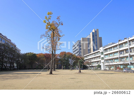 東京農業大学　　世田谷キャンパス 26600612