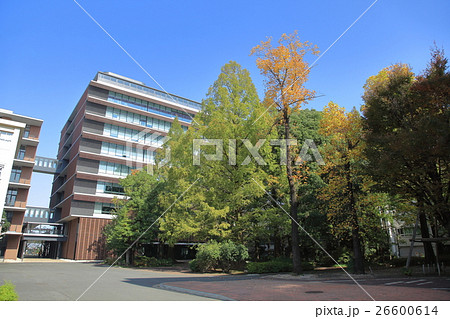 東京農業大学 世田谷キャンパス 東京農業大学 世田谷キャンパス 26600614