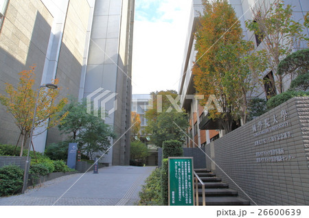 國學院大學 渋谷キャンパス 國學院大學 渋谷キャンパス 26600639