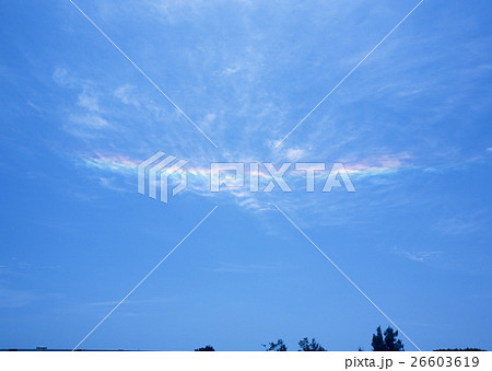 彩雲 26603619