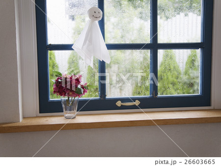 てるてる坊主とアジサイ 26603665