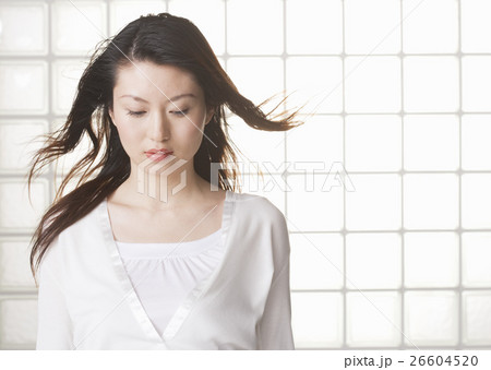 若い女性 若い女性 26604520