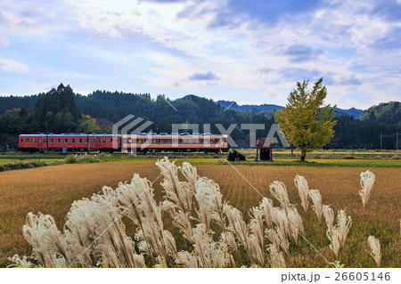 千葉県　いすみ鉄道　祠と銀杏の紅葉 26605146